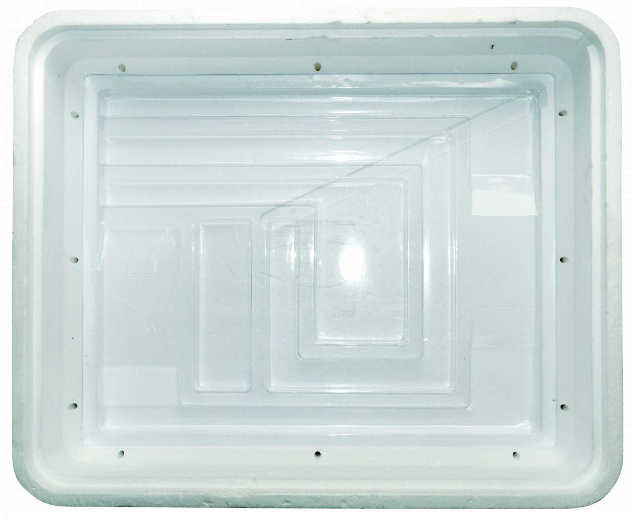 DRAGON PREMIUM INCUBATOR